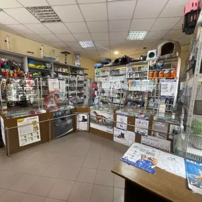 Buy trading area - Dnipro, Pastera street. Sale of real estate - Tsentralnyi, secondary market and new building cheap, price up to 45000$, announcement no.1994239 фото 3