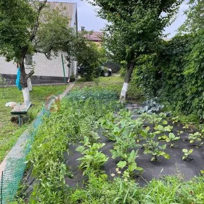 Buy house - Dnipropetrovska obl., Tsentralna street, Sursko-Lytovske village. Sale of real estate - Dniprovskyi, secondary market and new building cheap, price up to 22000$, announcement no.1991709 фото 6