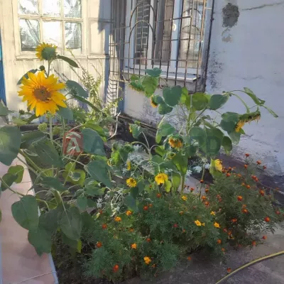 Buy house - Dnipro, Synelnykivska street. Sale of real estate - Samarskyi, secondary market and new building cheap, price up to 46000$, announcement no.1990823 фото 2