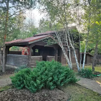 Buy house - Dnipropetrovska obl., Pishchanka village. Sale of real estate - Novomoskovskyi, secondary market and new building cheap, price up to 160000$, announcement no.1989640 фото 2