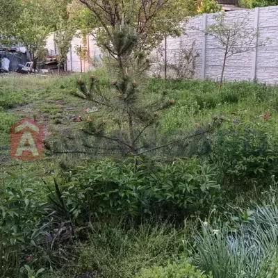Buy house - Dnipro, Lotsmanska street. Sale of real estate - Sobornyi, secondary market and new building cheap, price up to 27500$, announcement no.1989180 фото 2