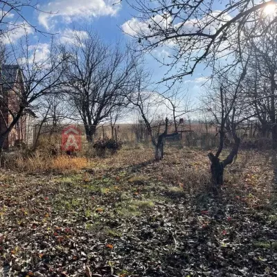 Buy house - Dnipropetrovska obl., Tsentralna street, Pashena Balka village. Sale of real estate - Dniprovskyi, secondary market and new building cheap, price up to 12000$, announcement no.1988773 фото 2