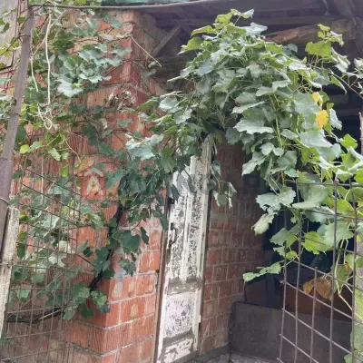 Buy house - Dnipropetrovska obl., Tsentralna street, Pashena Balka village. Sale of real estate - Dniprovskyi, secondary market and new building cheap, price up to 12000$, announcement no.1988773 фото 7