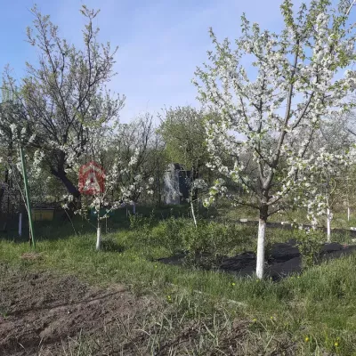 Buy house - Dnipropetrovska obl., Dniprove village. Sale of real estate - Dniprovskyi, secondary market and new building cheap, price up to 15000$, announcement no.1988357 фото 2