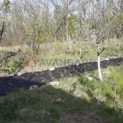 Buy house - Dnipropetrovska obl., Dniprove village. Sale of real estate - Dniprovskyi, secondary market and new building cheap, price up to 15000$, announcement no.1988357 фото 7