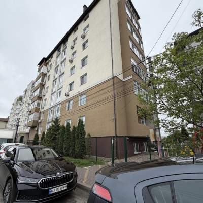 Buy non-residential premises - Kyivska obl., Petropavlivska Borshchagivka. Sale of real estate - Buchanskyi, secondary market and new building cheap, price up to 232000$, announcement no.2031418 фото 3