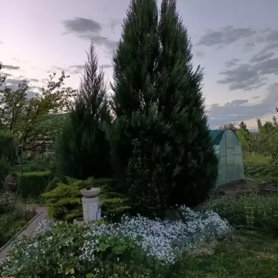 Buy house - Dnipro, Motornyi lane. Sale of real estate - Amur-Nyzhnodniprovskyi, secondary market and new building cheap, price up to 81000$, announcement no.1833242 фото 33