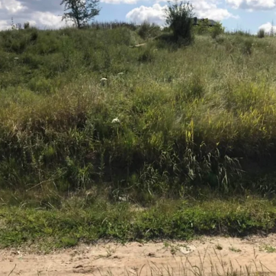 Buy land plot - Ternopil. Sale of real estate - Pronyatyn, secondary market and new building cheap, price up to 10500$, announcement no.1795350 фото 2