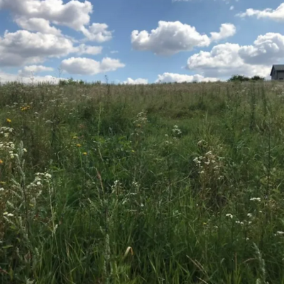 Buy land plot - Ternopil. Sale of real estate - Pronyatyn, secondary market and new building cheap, price up to 10500$, announcement no.1795350 фото 3