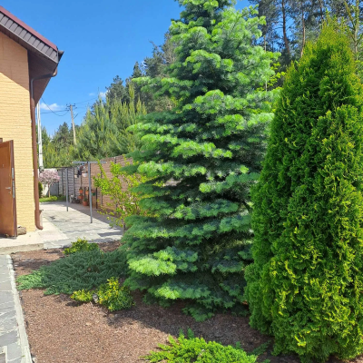 Buy house - Kyivska obl., Kalynivka village. Sale of real estate - Makarivskyi, secondary market and new building cheap, price up to 168200$, announcement no.2033645 фото 2