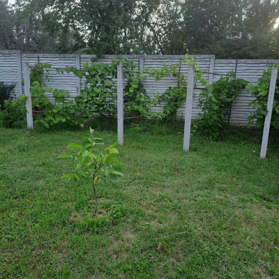 Buy house - Kyivska obl., Kalynivka village. Sale of real estate - Makarivskyi, secondary market and new building cheap, price up to 168200$, announcement no.2033645 фото 7