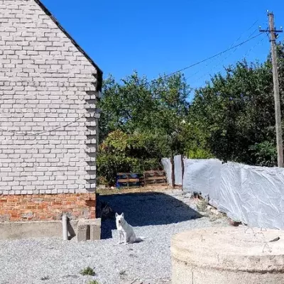 Buy house - Dnipropetrovska obl., Novoselivka village. Sale of real estate - Novomoskovskyi, secondary market and new building cheap, price up to 16000$, announcement no.1761022 фото 19