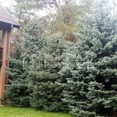 Rent house - Kharkivska obl., Lisna street, Artyukhivka village. Rent of real estate - Chuguivskyi, secondary market and new building cheap, price up to 60000UAH, announcement no.2036611 фото 6