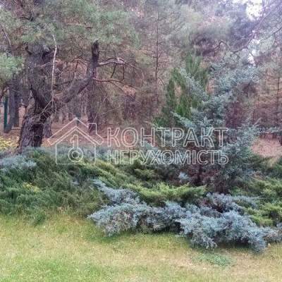 Rent house - Kharkivska obl., Lisna street, Artyukhivka village. Rent of real estate - Chuguivskyi, secondary market and new building cheap, price up to 60000UAH, announcement no.2036611 фото 7