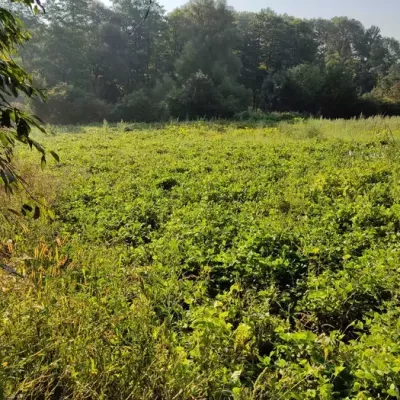 Buy land plot - Khmelnytska obl.. Sale of real estate - Khmelnytskyi, secondary market and new building cheap, price up to 6500$, announcement no.1430398 фото 1