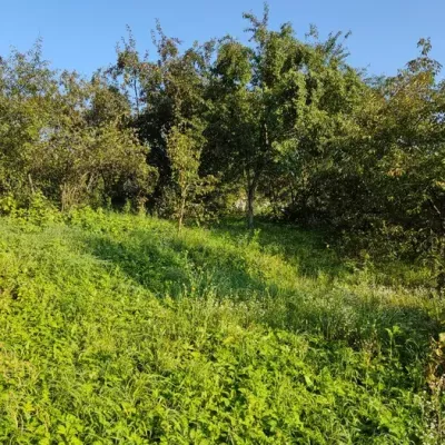 Buy land plot - Khmelnytska obl.. Sale of real estate - Khmelnytskyi, secondary market and new building cheap, price up to 6500$, announcement no.1430398 фото 2