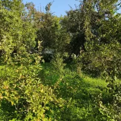 Buy land plot - Khmelnytska obl.. Sale of real estate - Khmelnytskyi, secondary market and new building cheap, price up to 6500$, announcement no.1430398 фото 5